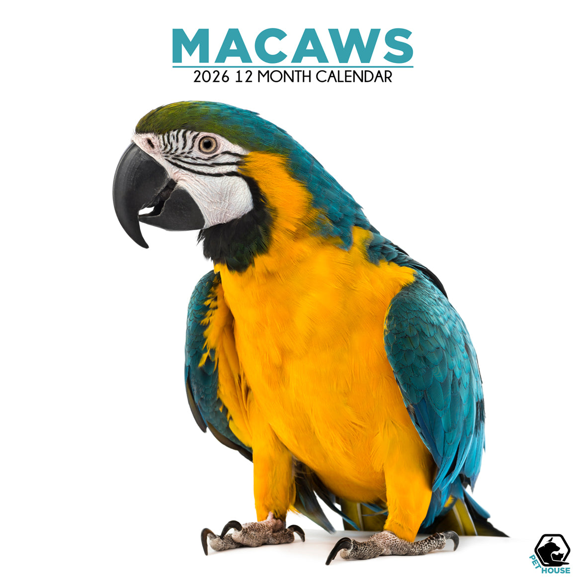 Macaws - Square Calendar 2026