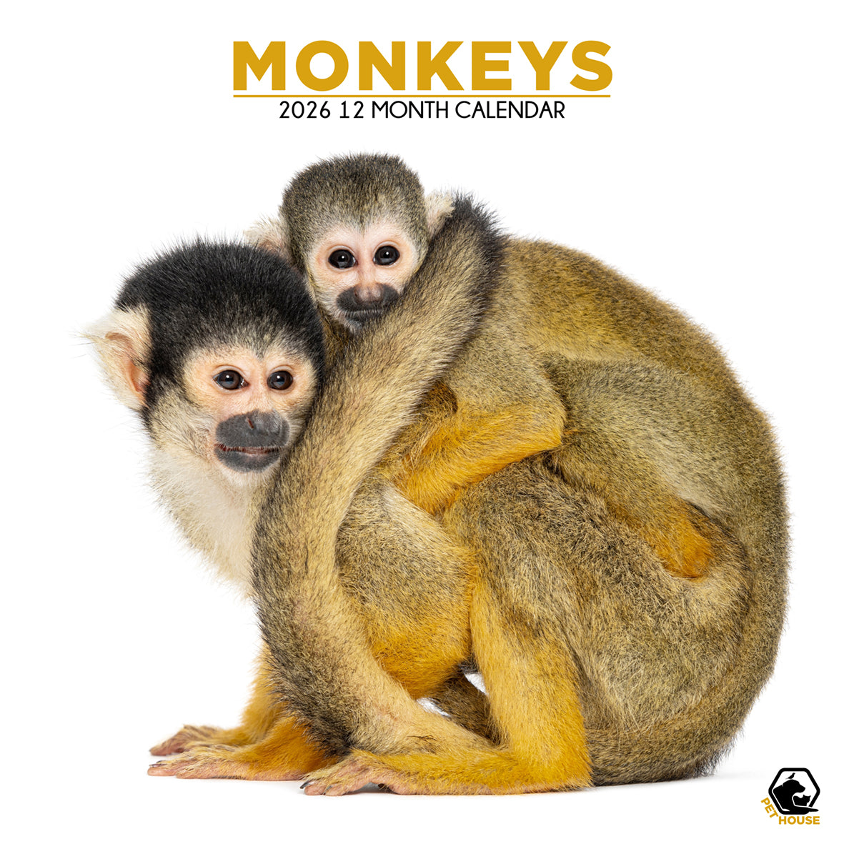 Monkeys - Square Calendar 2026