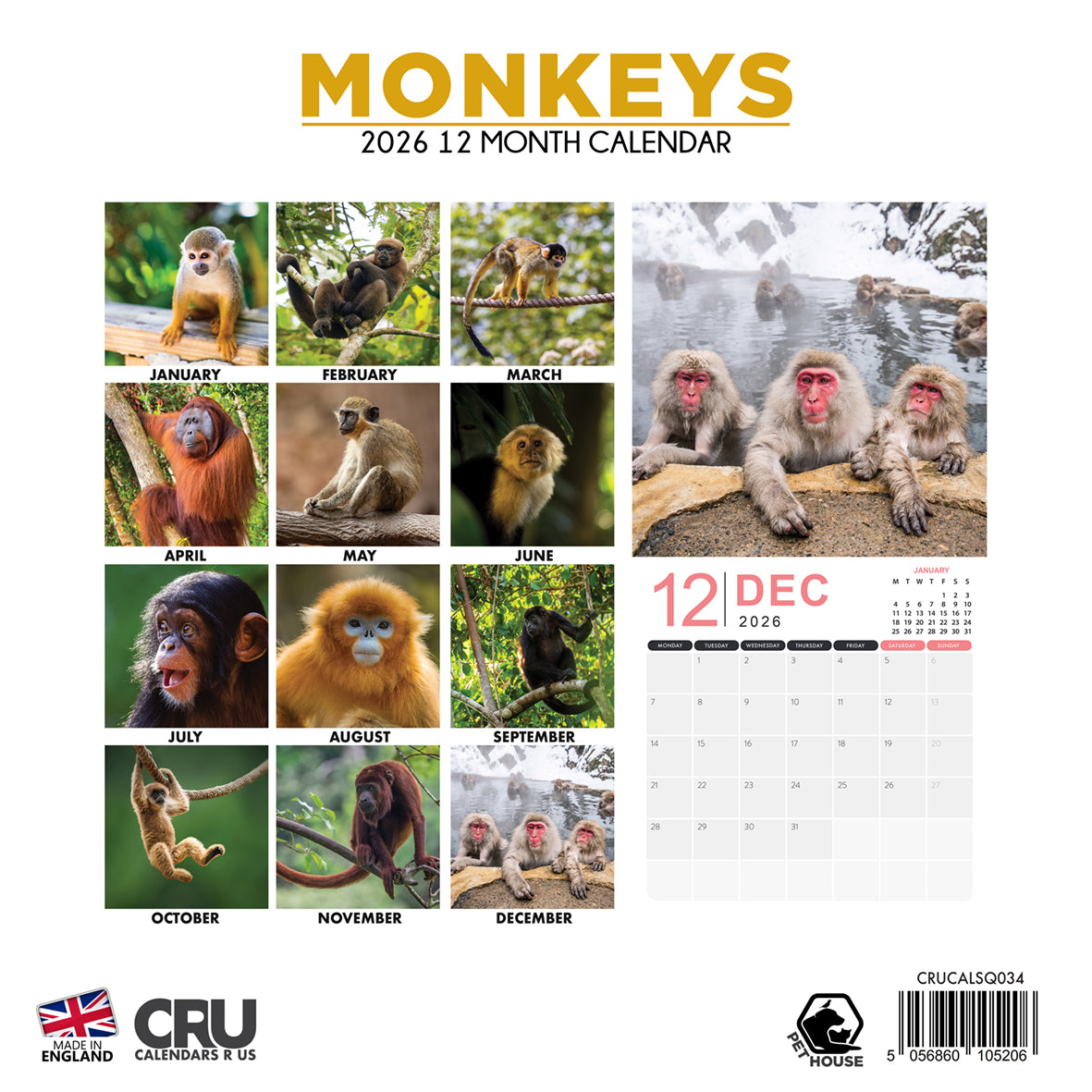Monkeys - Square Calendar 2026