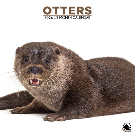 Otters - Square Calendar 2026