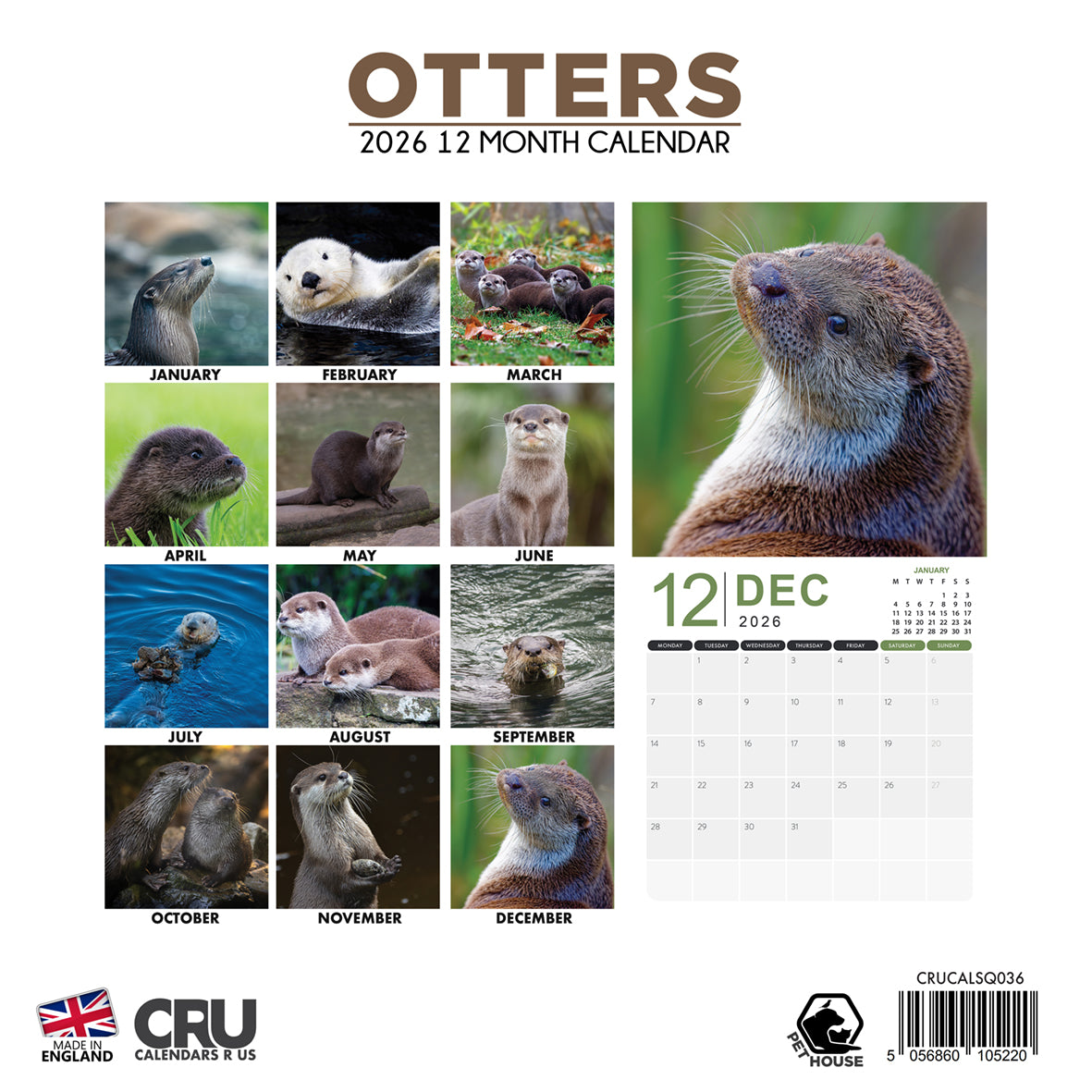 Otters - Square Calendar 2026