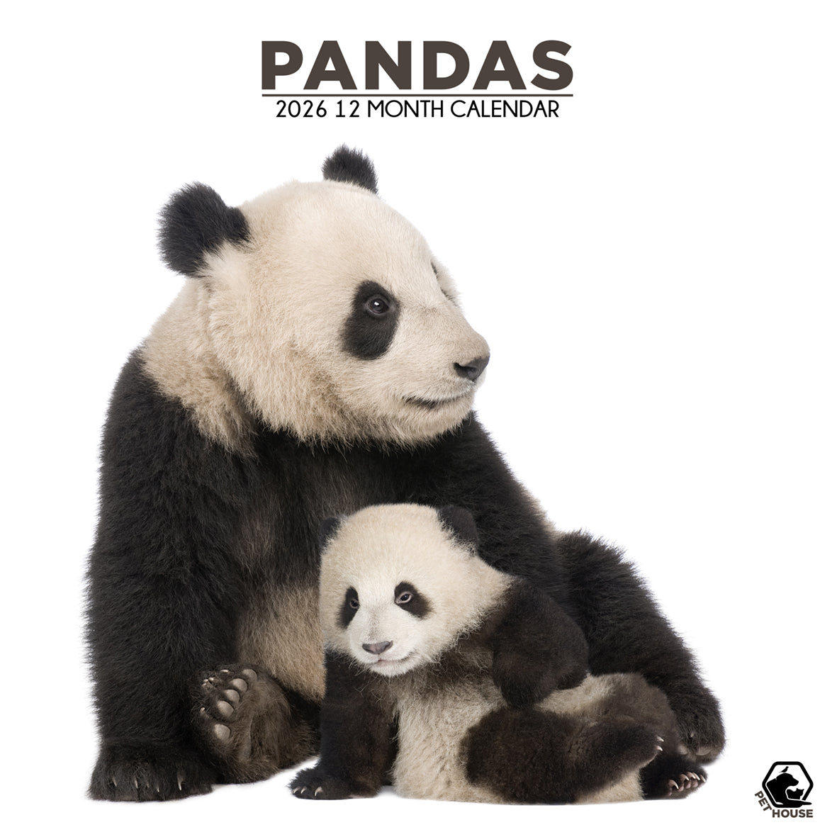 Pandas - Square Calendar 2026