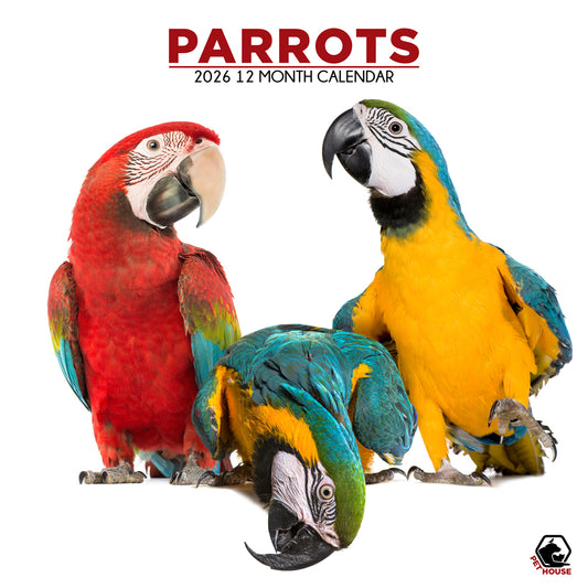 Parrots - Square Calendar 2026