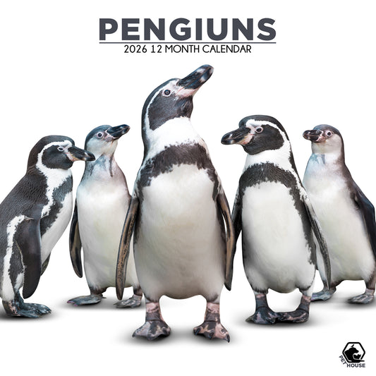 Penguins - Square Calendar 2026