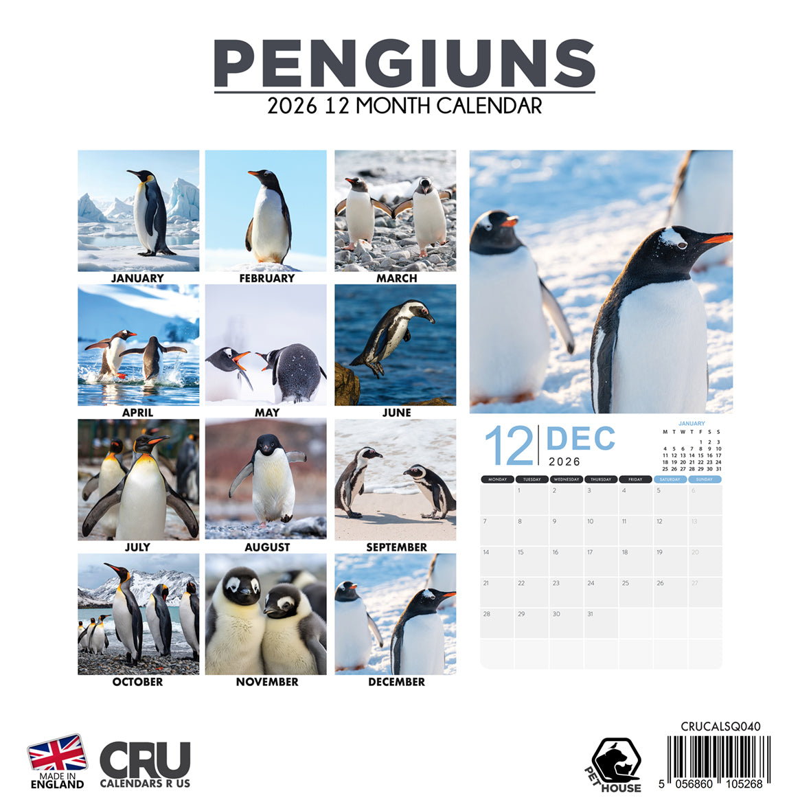 Penguins - Square Calendar 2026
