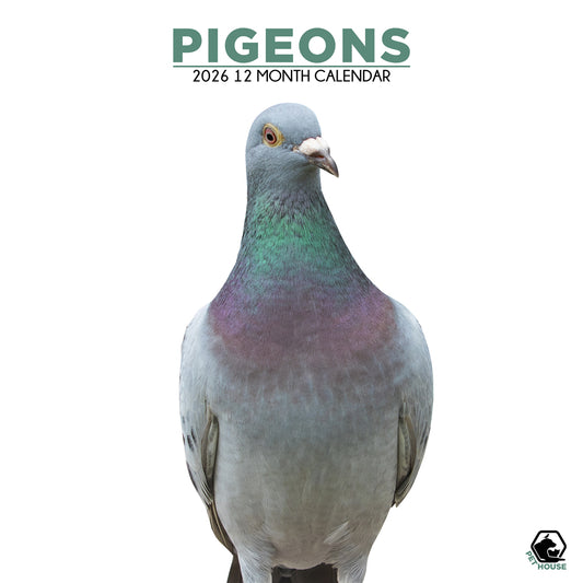 Pigeons - Square Calendar 2026