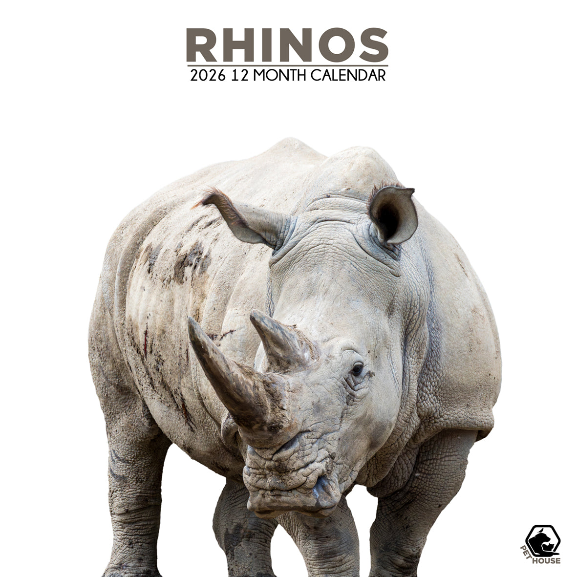 Rhinos - Square Calendar 2026