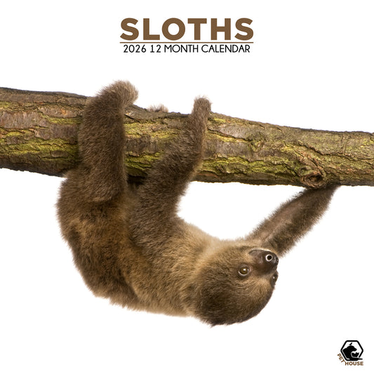 Sloths - Square Calendar 2026