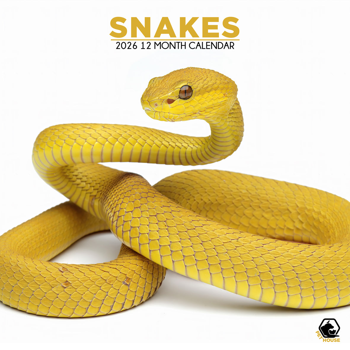 Snakes - Square Calendar 2026