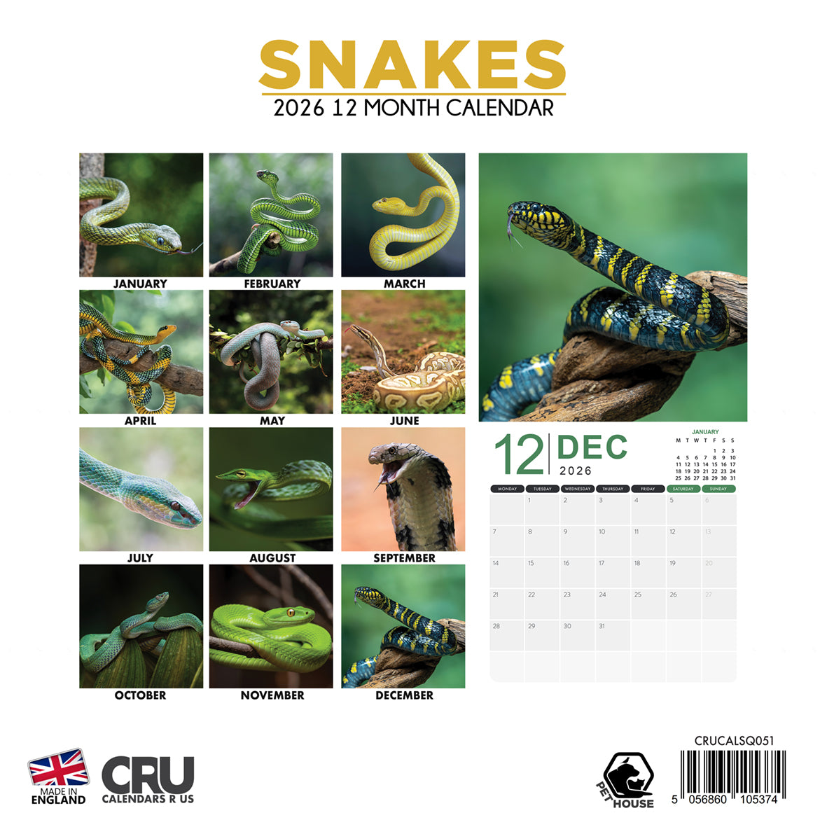 Snakes - Square Calendar 2026