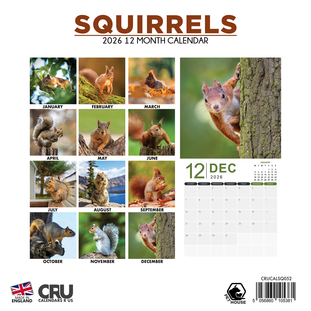 Squirrels - Square Calendar 2026