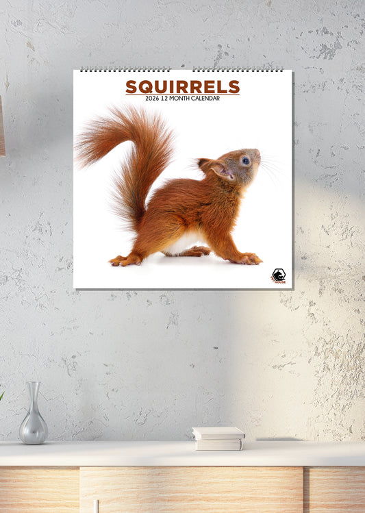 Squirrels - Square Calendar 2026