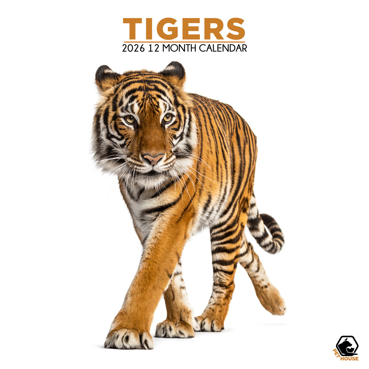 Tigers - Square Calendar 2026