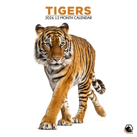 Tigers - Square Calendar 2026