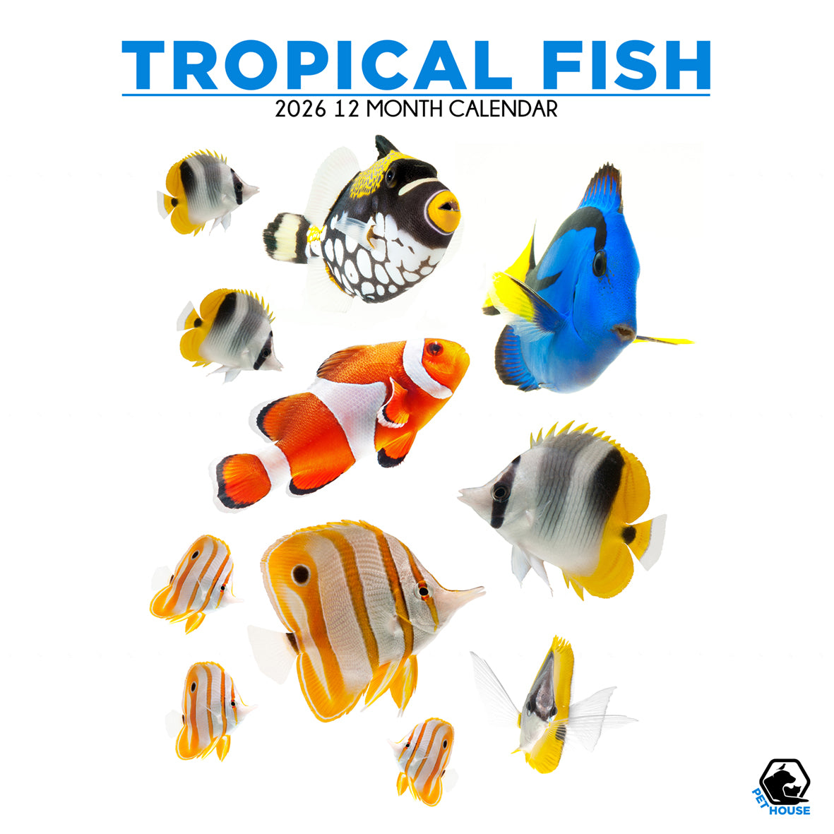 Tropical Fish - Square Calendar 2026