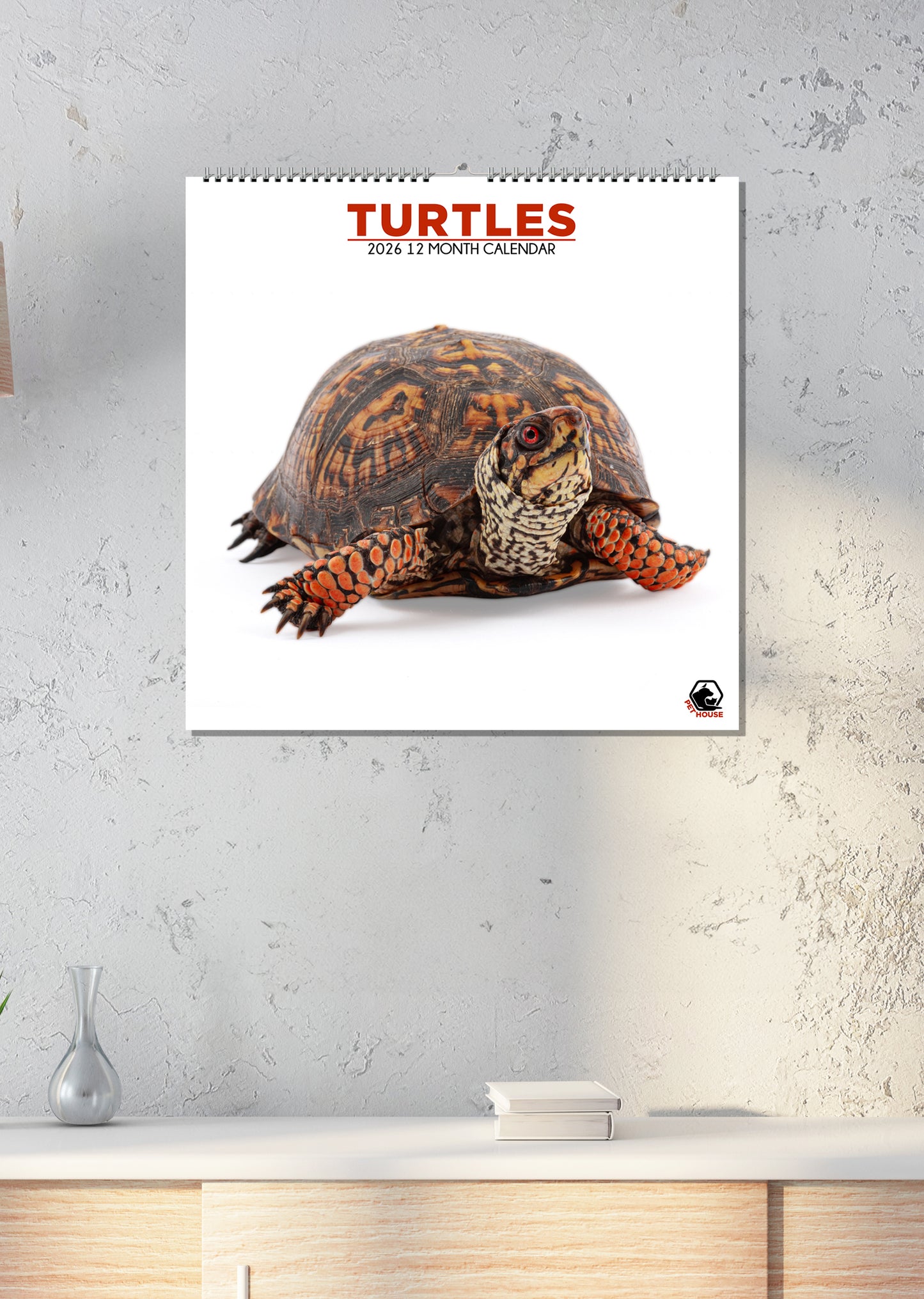 Turtles - Square Calendar 2026