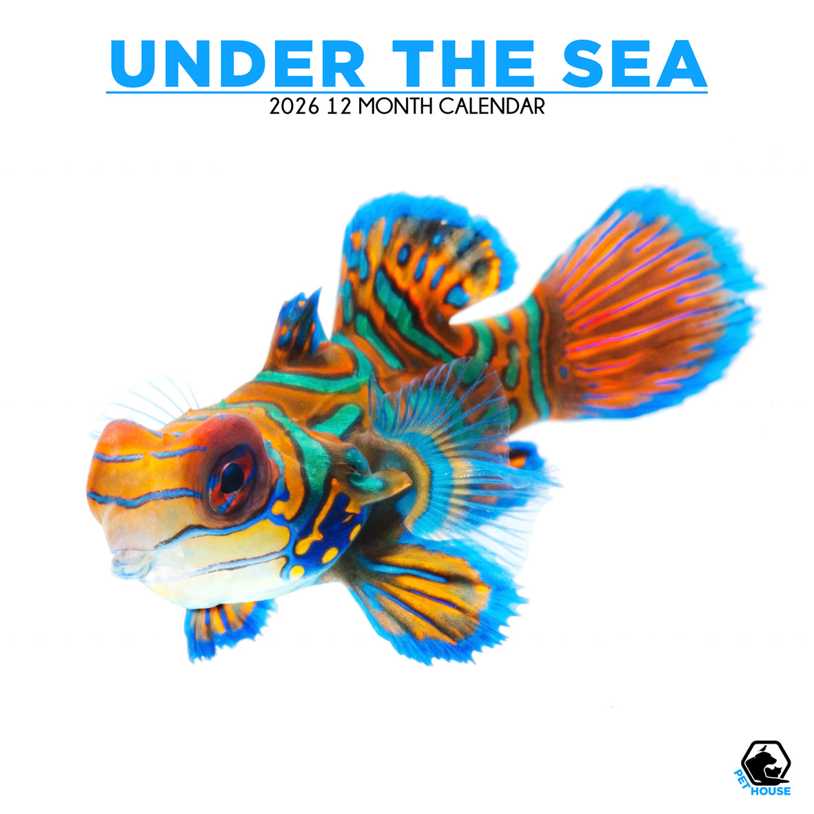 Under The Sea - Square Calendar 2026