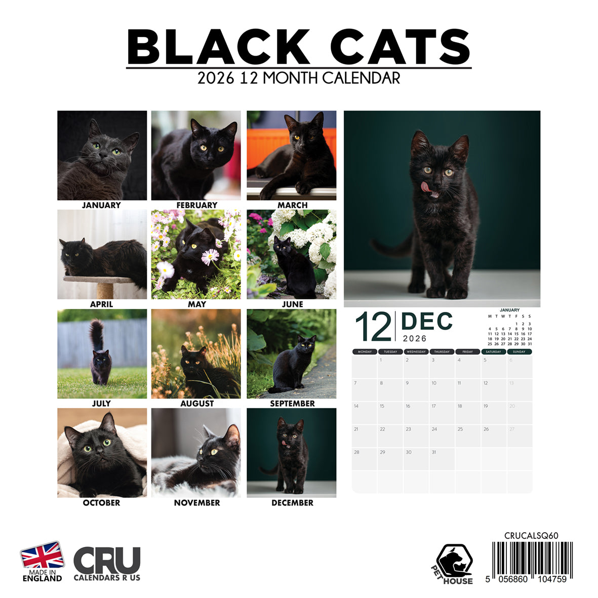Black Cat - Square Calendar 2026
