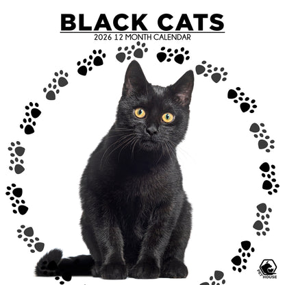 Black Cat - Square Calendar 2026