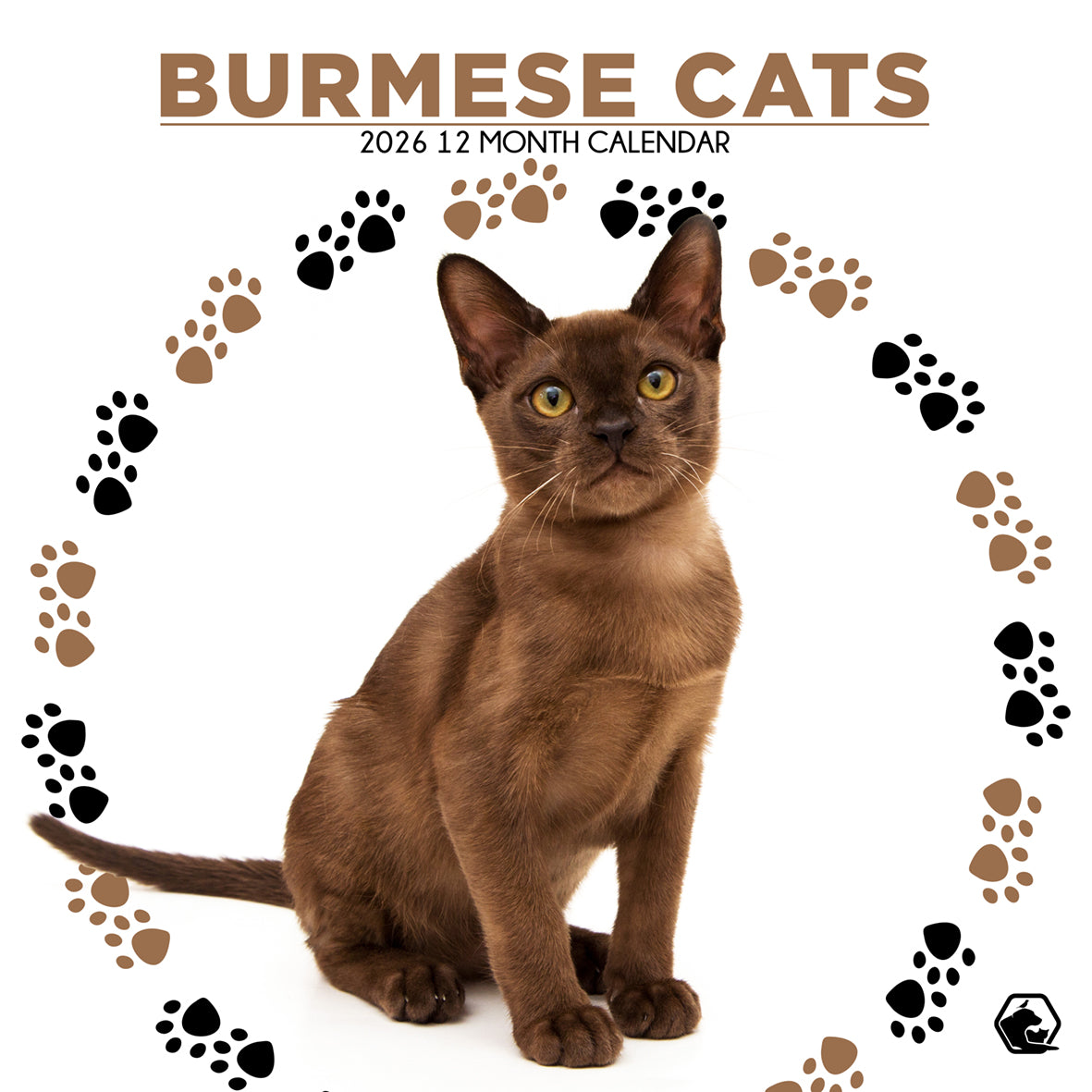 Burmese Cats Square Calendar 2026 CalendarsRus