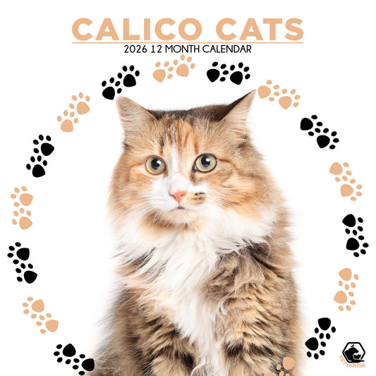 Calico Cats - Square Wholesale