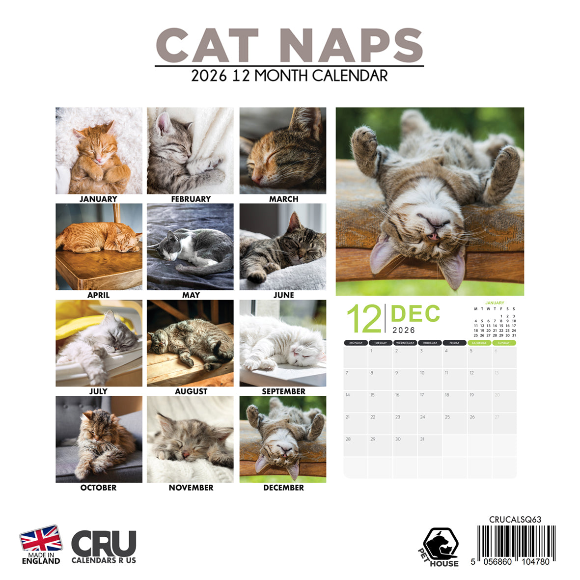 Cat Naps - Square Calendar 2026