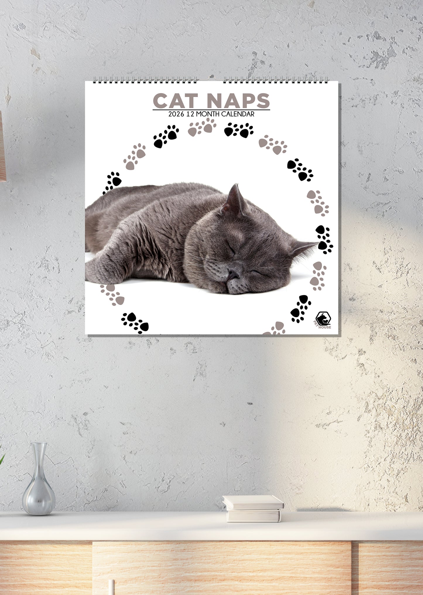 Cat Naps - Square Wholesale