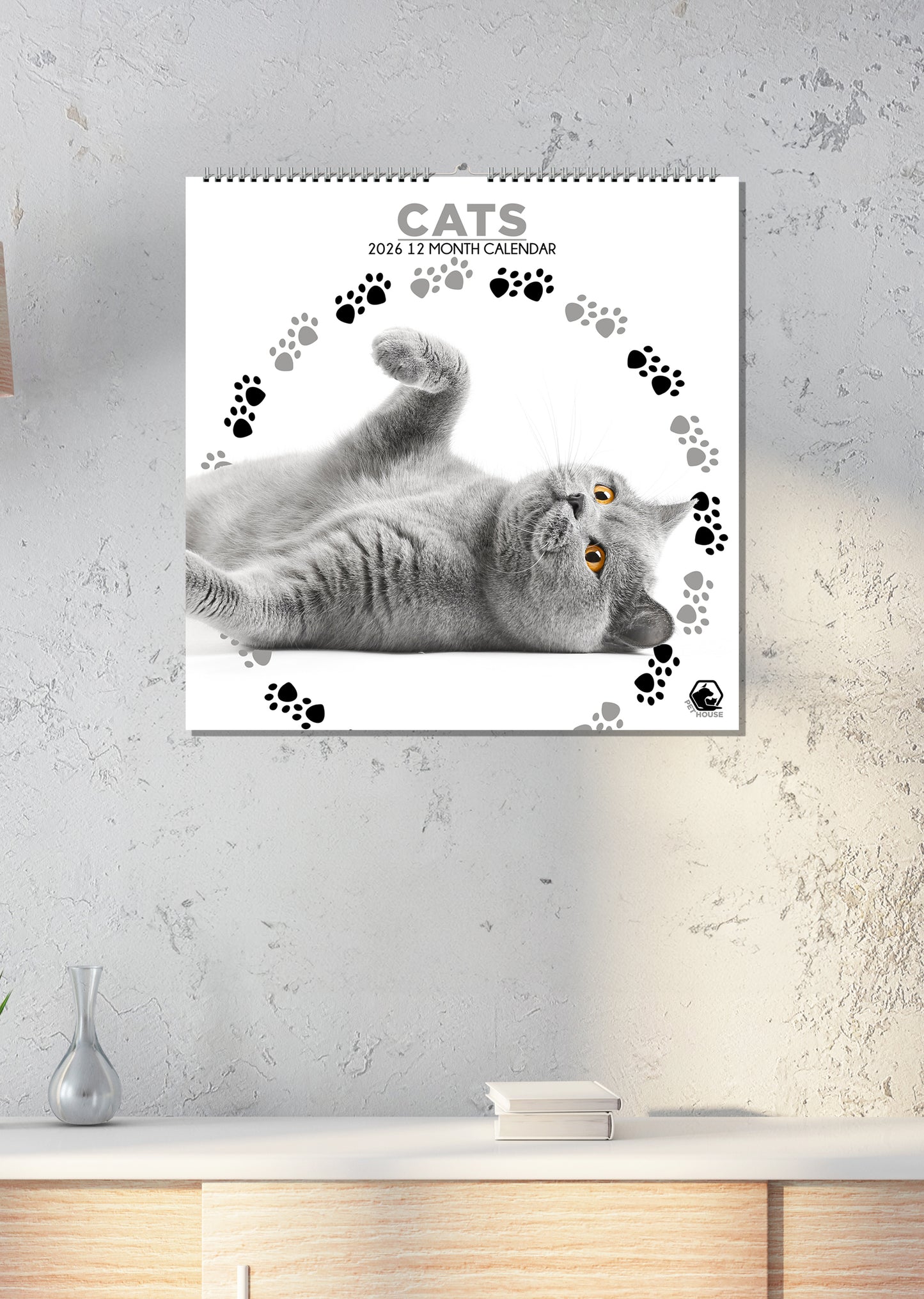 Cats - Square Wholesale