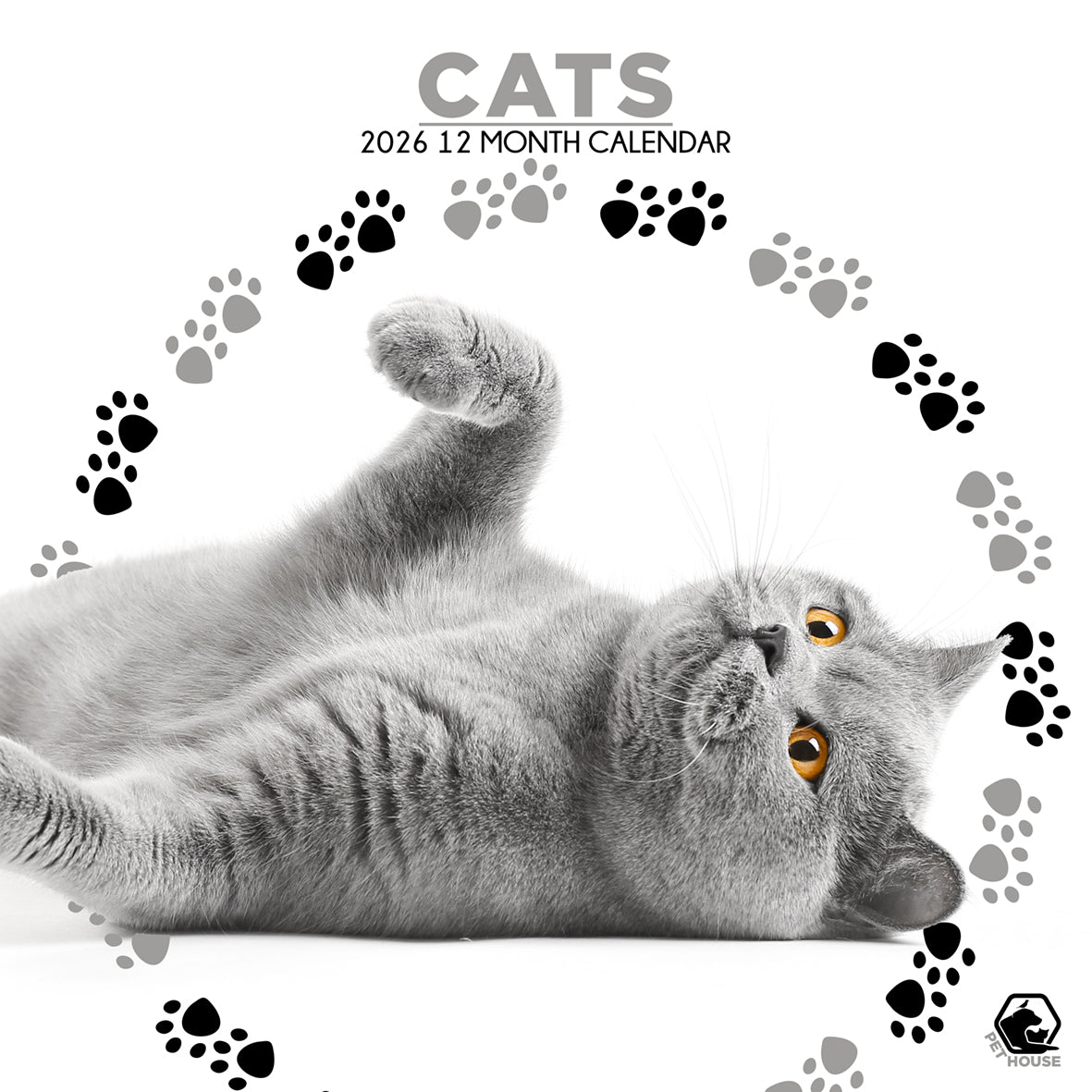 Cats - Square Calendar 2026