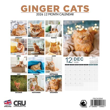 Ginger Cats - Square Calendar 2026