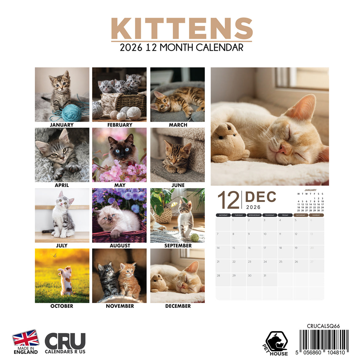 Kittens - Square Calendar 2026