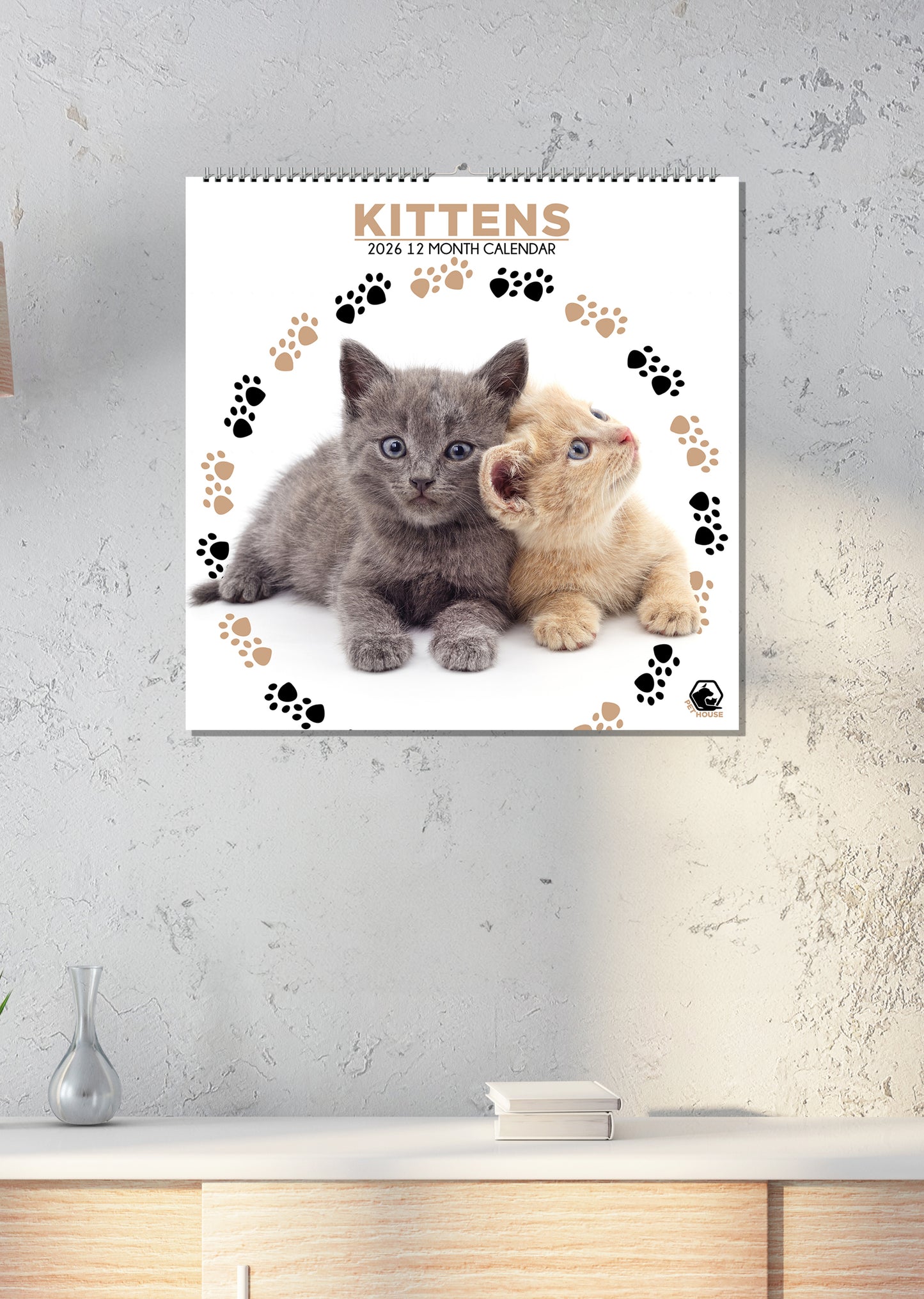 Kittens - Square Wholesale