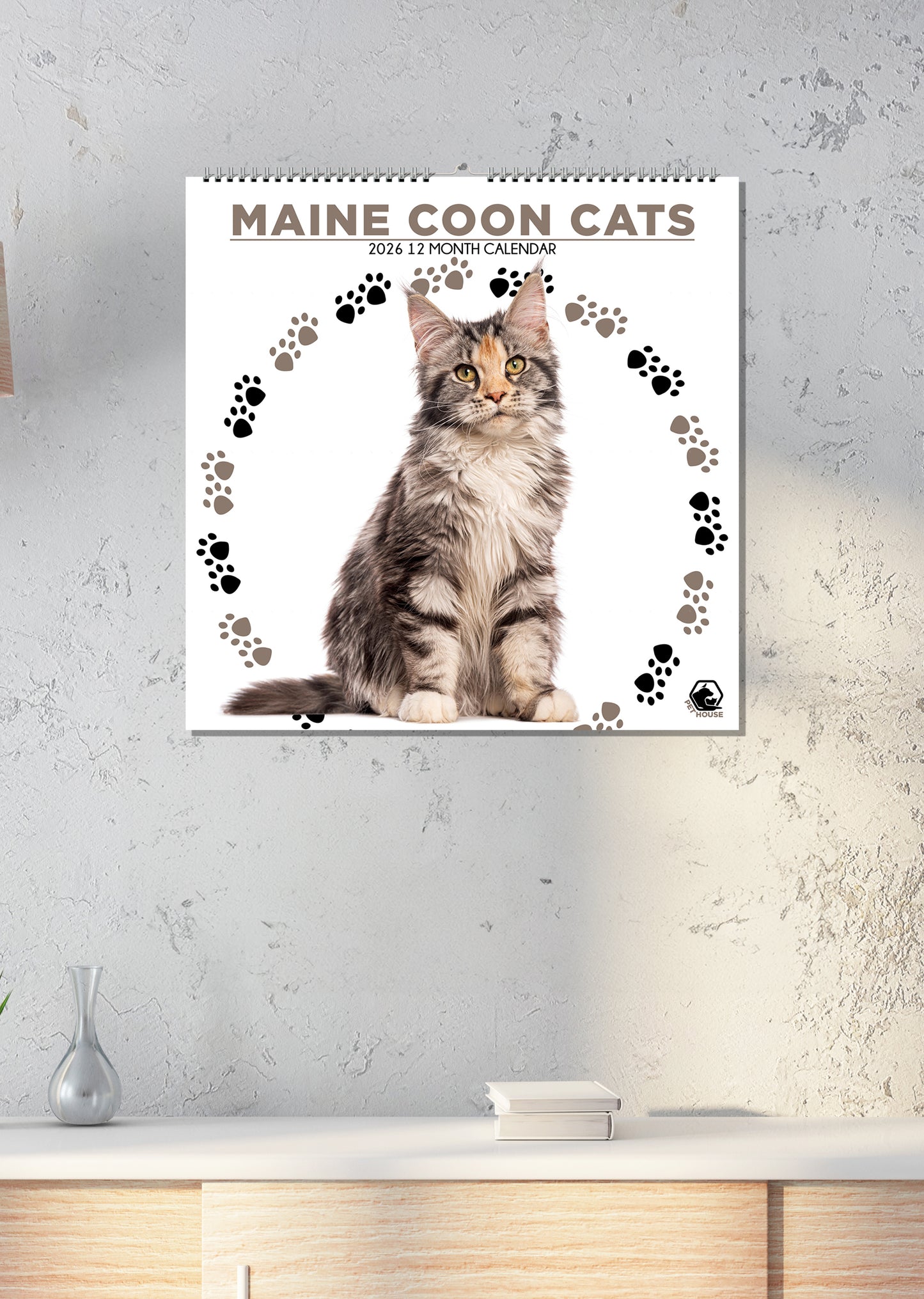 Maine Coon Cats - Square Wholesale