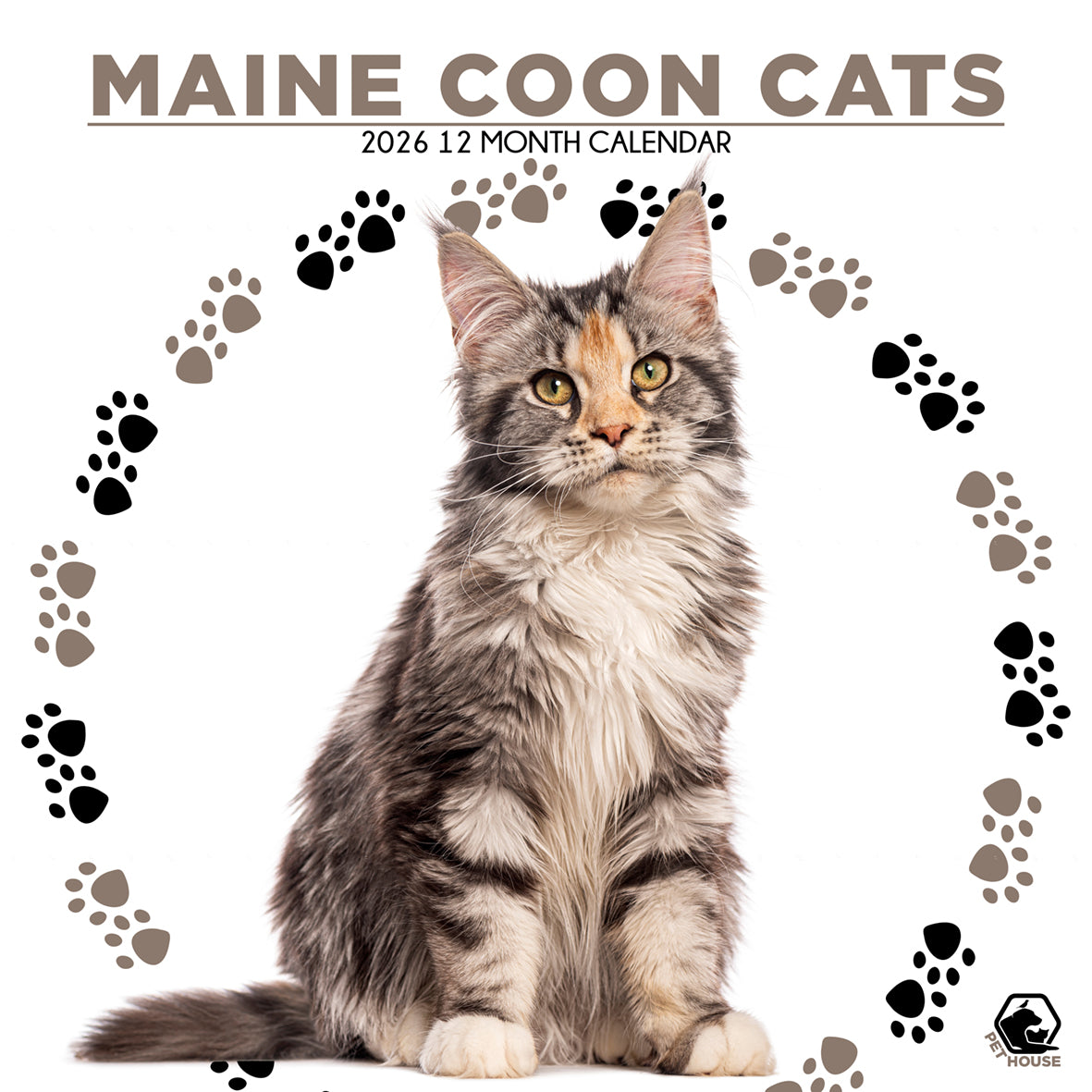 Maine Coon Cats Square Calendar 2026 CalendarsRus