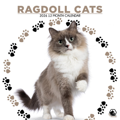 Ragdoll Cats - Square Calendar 2026