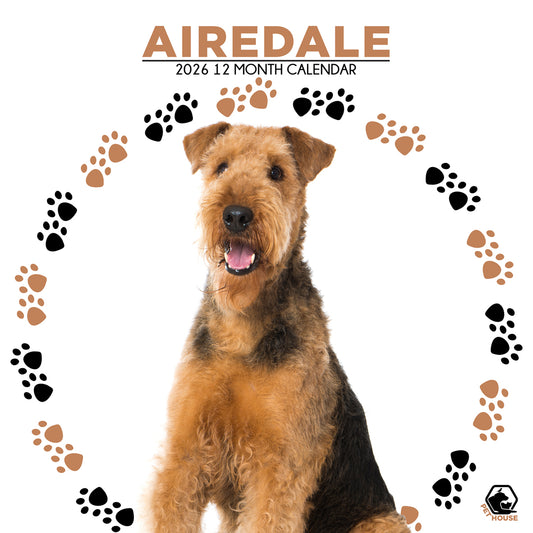 Airedale - Square Calendar 2026