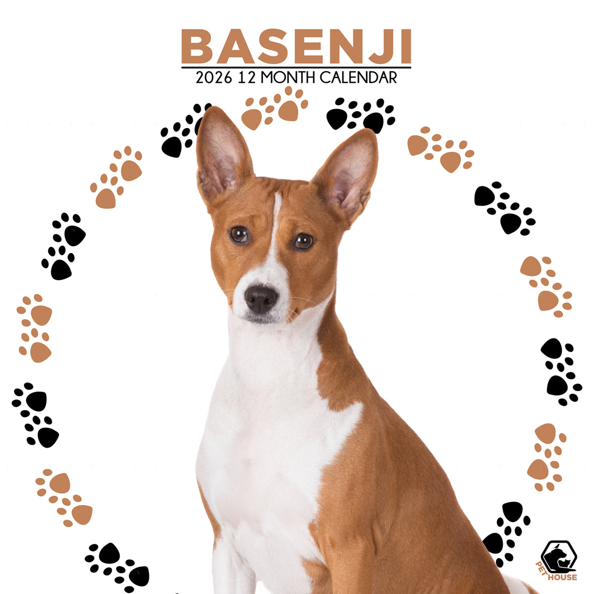 Basenji - Square Calendar 2026