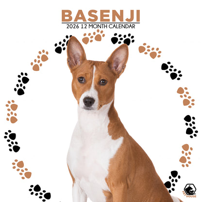 Basenji - Square Calendar 2026
