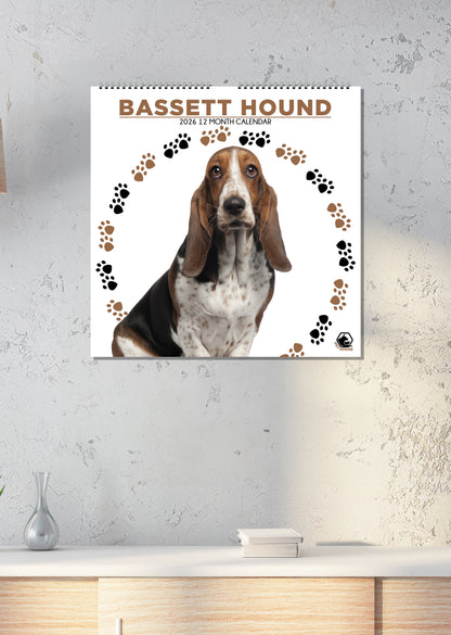 Bassett Hound - Square Calendar 2026