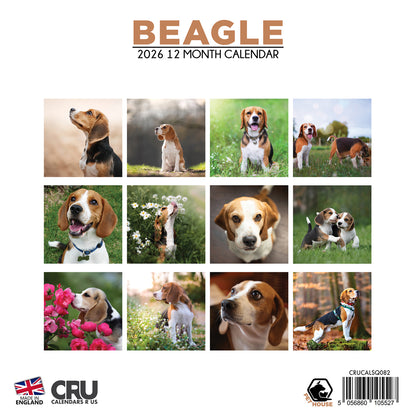 Beagle - Square Calendar 2026