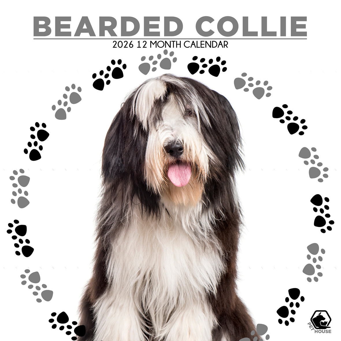 Bearded Collie - Square Calendar 2026