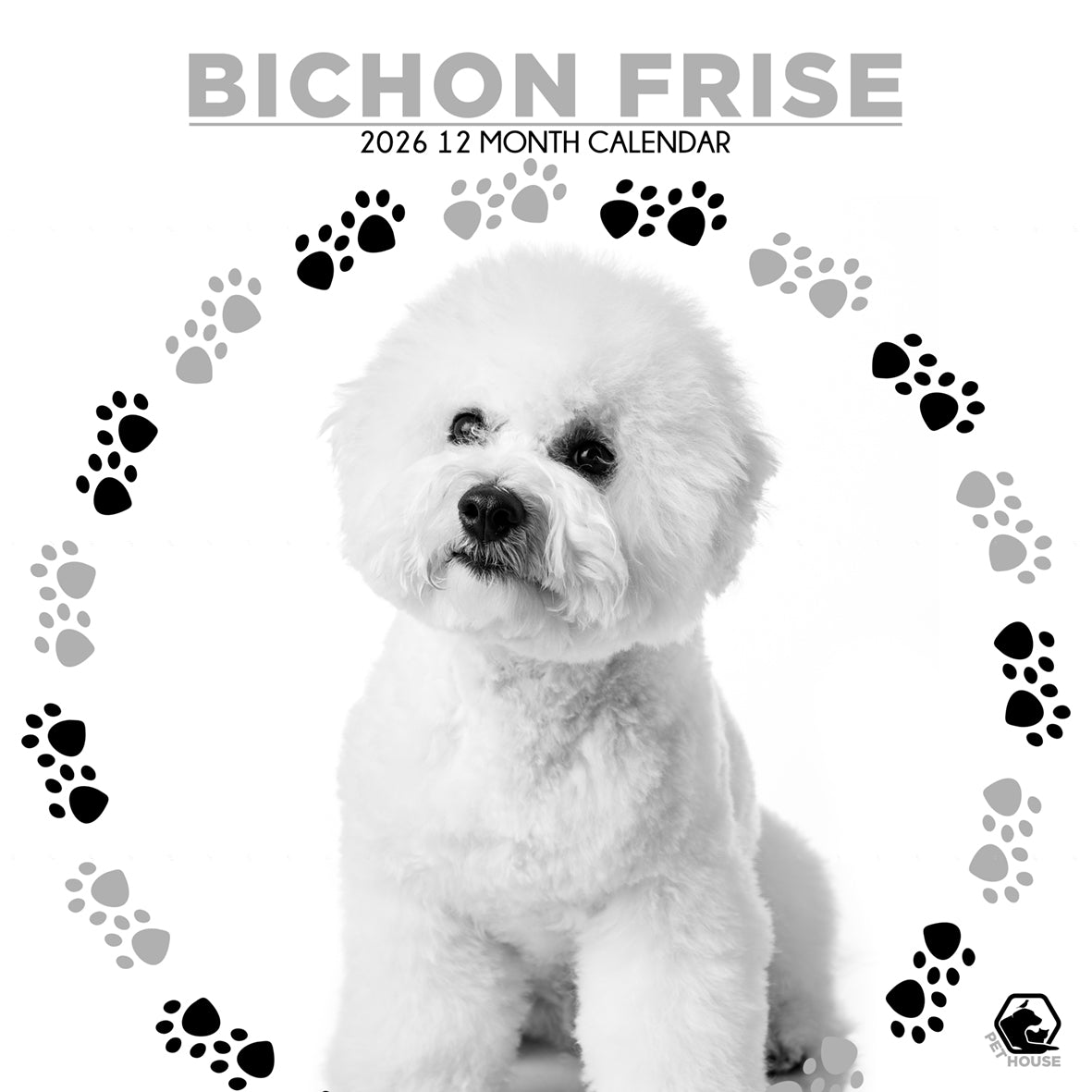 Bichin Frise - Square Calendar 2026