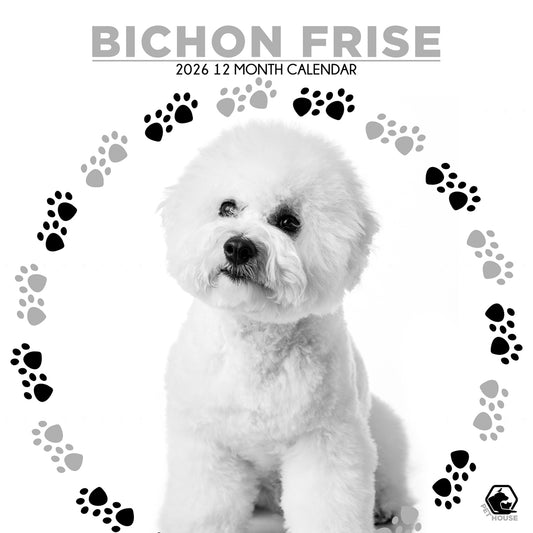 Bichin Frise - Square Calendar 2026