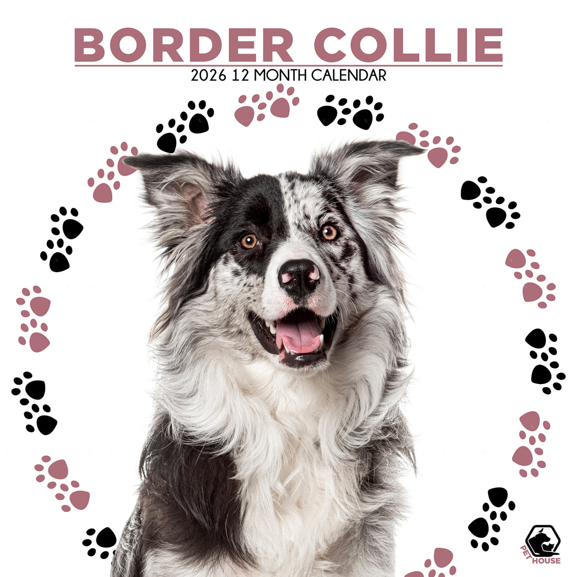 Border Collie Square Calendar 2026 CalendarsRus