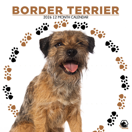 Border Terrier - Square Calendar 2026