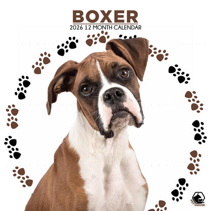 Boxer - Square Calendar 2026