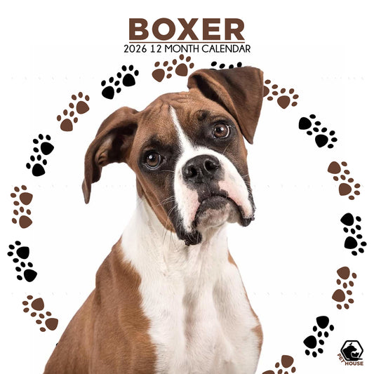 Boxer - Square Calendar 2026