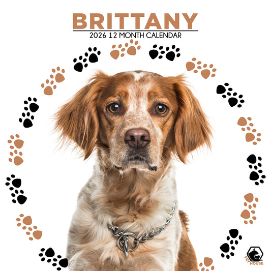 Brittany - Square Calendar 2026