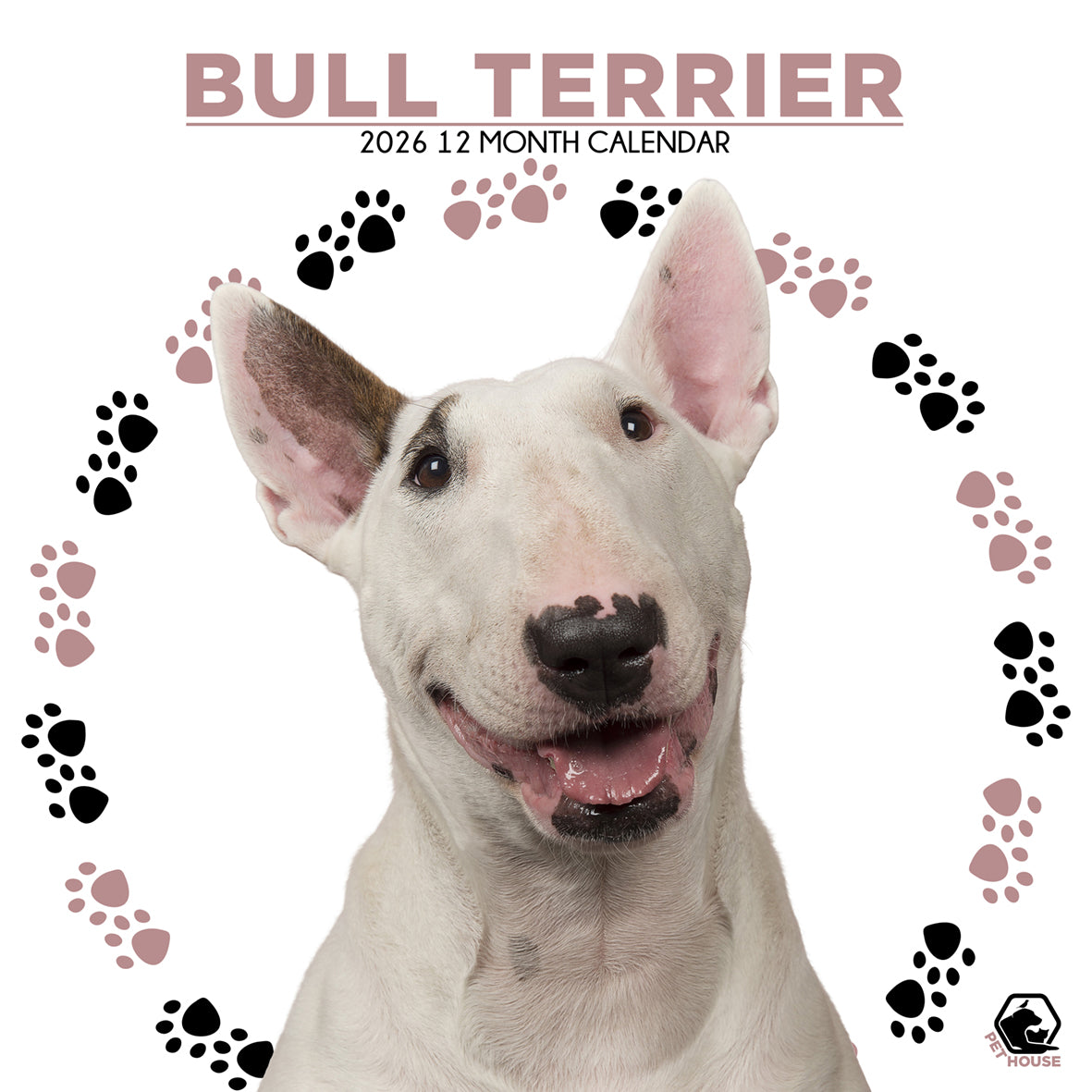 Bull Terrier - Square Calendar 2026