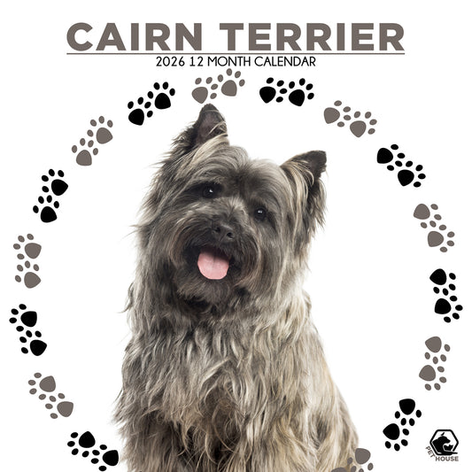 Cairn Terrier - Square Calendar 2026